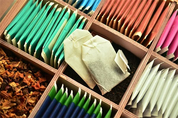 【実体験】リーキ栽培の3つの方法：種から・再生・多年草化を解説