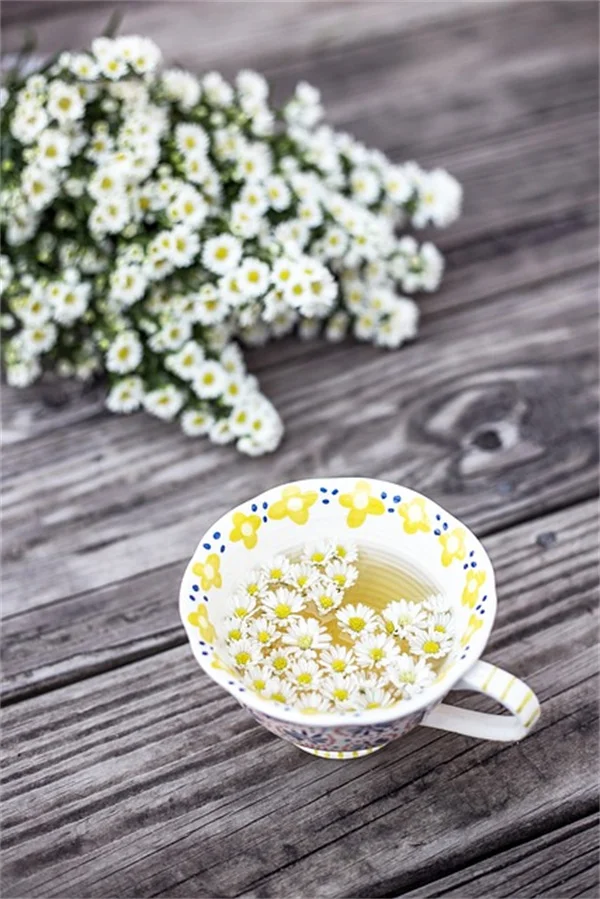 チャールズ国王が愛するクロッカス「レメンブランス」の育て方