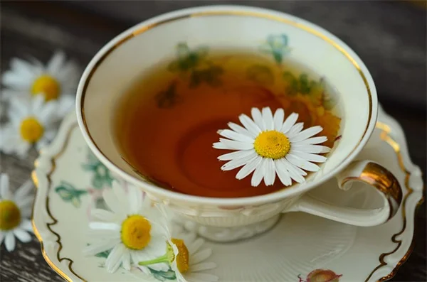 休眠油で果樹の冬の害虫対策！実は知っておくべき3つのメリット