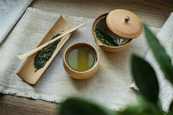 植物領の簡単な作り方！トイレットペーパーの芯で害虫対策