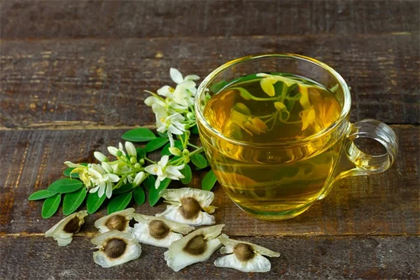 水やり不要！乾燥に強いコンテナ植物5選