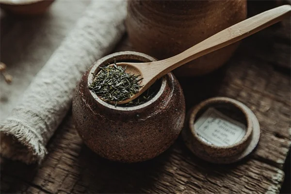 LECAで観葉植物を復活！土から切り替えるコツと実践手順