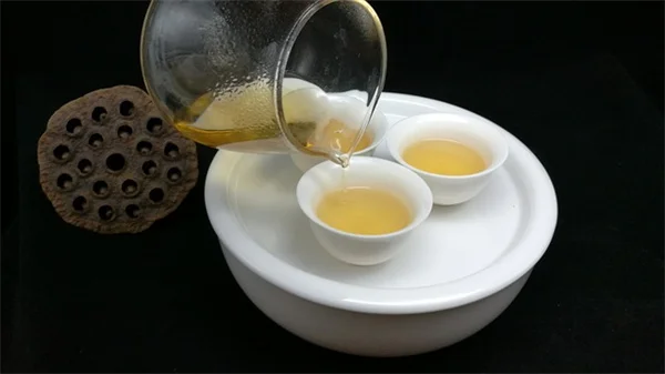 羽衣甘藍の葉にトゲが出る3つの理由と正しい対処法